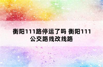 衡阳111路停运了吗 衡阳111公交路线改线路